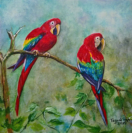 jollyarts, TEJPAL, tejpal singh, TEJPALsinghmann, artist TEJPAL ,tsmgallery, tsm, surrey arts council, surrey tourism